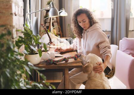 Junge Frau arbeitet am Tisch mit Computer zu Hause Während Hund mit ihr spielen wollen Stockfoto