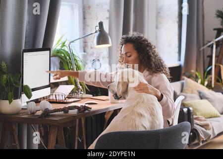 Junge Frau zeigt ihrem Hund während etwas am Computer Online-Unterhaltung zu Hause Stockfoto