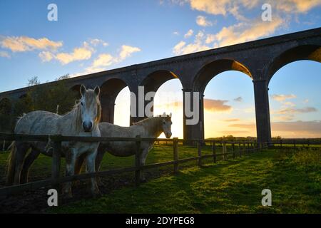 Die Sonne untergeht hinter dem Harringworth Viadukt, auch bekannt als das Welland Valley Viaduct an der Grenze von Rutland und Northamptonshire Stockfoto