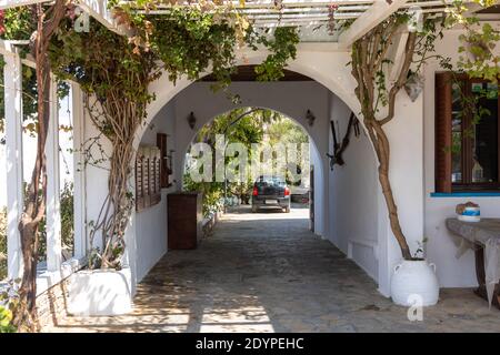 Chora, Insel Folegandros, Griechenland - 23. September 2020: Traditionelle griechische weiße Architektur im Zentrum von Chora. Garten mit Palmen und Weinreben. Stockfoto