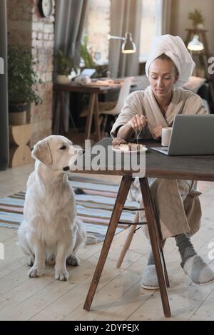 Junge Frau im Bademantel sitzt am Tisch vor Laptop und Kaffee trinken mit Hund in der Nähe sitzen Sie zu Hause Stockfoto