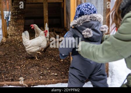 Blick von hinten auf Mama hält mit beiden Händen ein Baby in Winteranzug gekleidet vor einem Hühnerstall mit Hühnern. Babys erste Naturerkundung. Stockfoto