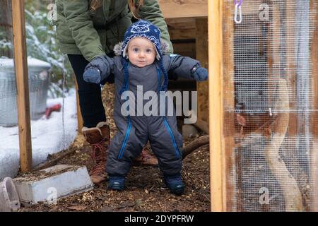 Junge Mutter hilft ihrem Baby, aufzustehen und einige Schritte während der Erkundung eines Hühnerstall im Schnee zu bewegen. Die ersten Entdeckungen des Babys. Stockfoto