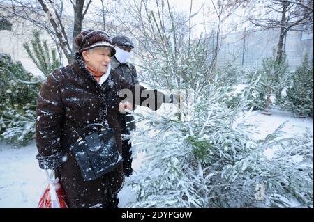 Ein älteres Paar, alter Mann und Frau, die sich am Freiluftstand für die Weihnachtsbaumkiefer entschieden Stockfoto