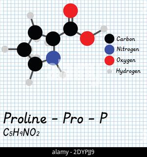 Proline - Pro - P Amino Säure molekulare Formel und chemische Struktur . 2D Ball und Stick Modell auf Schule Papier Blatt Hintergrund. EPS10 Stock Vektor