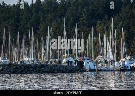 Masten in der Abendsonne in Nanaimo, BC, Kanada. Nanaimo ist eine Hafenstadt auf der Vancouver Insel. Es ist ein BC Ferry Terminal und betreibt eine geschäftige Stockfoto