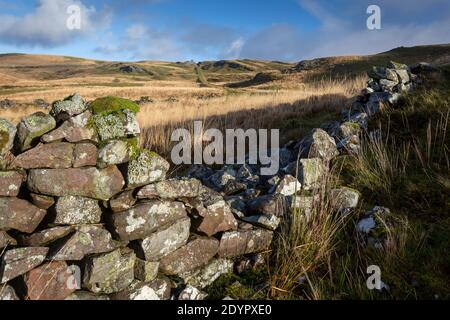 Alte Trockensteinmauer in Penwyllt Stockfoto