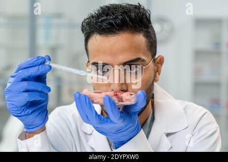 Junge, geliebte, ernsthafte männliche wissenschaftliche Forscher, die aufmerksam auf Stück schauen Von rohem Gemüsefleisch in Petrischale während des Studiums Eigenschaften Stockfoto