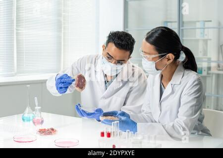 Zwei junge interkulturelle Forscher oder Kliniker in Whitecoats und Handschuhen Das Studium der Besonderheiten eines der Proben des rohen Gemüsefleisches Im Labor Stockfoto