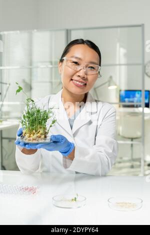 Glückliche junge geliebte Laborarbeiterin oder wissenschaftliche Forscherin suchen Bei Ihnen, während Petrischale mit grünen Lab-grown Soja halten Sprossen Stockfoto