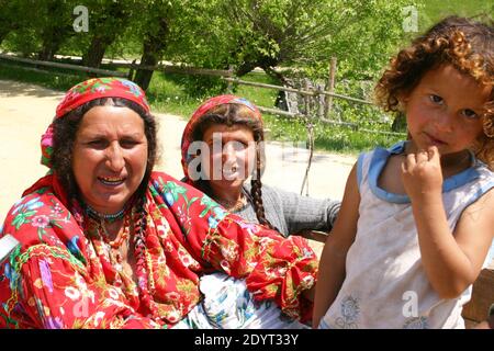 Zigeuner (Romani, Rroma) Reisen in einem Wagen in Rumänien Stockfoto