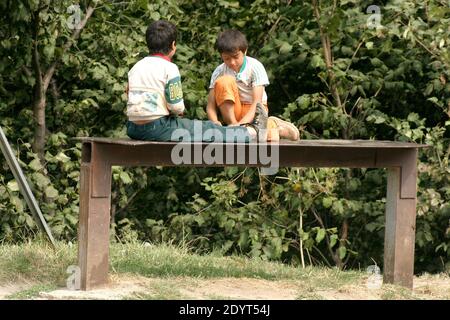 Zigeuner (Rroma/ Romani) Jungen in Rumänien Stockfoto