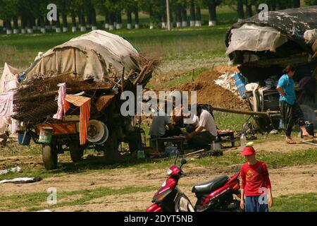 Zigeuner (Romani, Rroma) Menschen in Rumänien auf einem Feld camping. Karren überfüllt mit Schrott gesammelt, um später für etwas Geld verkauft werden. Stockfoto