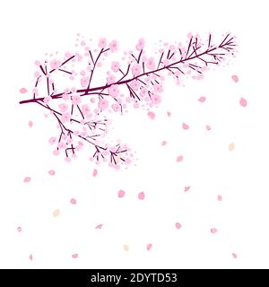 Ein Zweig von Sakura mit fallenden Blütenblättern. Vektorgrafik Stock Vektor
