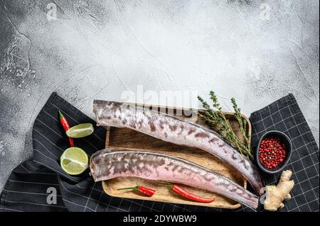 Roher Königsklip, Congrio Fisch mit Zutaten zum Kochen. Grauer Hintergrund. Draufsicht. Speicherplatz kopieren Stockfoto