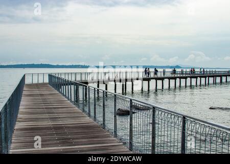 Die Promenade, Felsstrand und rote Mangroven in Chek Jawa Feuchtgebiet. Es ist ein Kap und der Name seiner 100 Hektar großen Feuchtgebiete auf der Süd-östlichen Stockfoto