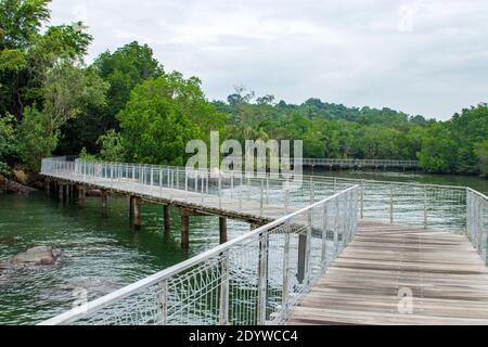 Die Promenade, Felsstrand und rote Mangroven in Chek Jawa Feuchtgebiet. Es ist ein Kap und der Name seiner 100 Hektar großen Feuchtgebiete auf der Süd-östlichen Stockfoto