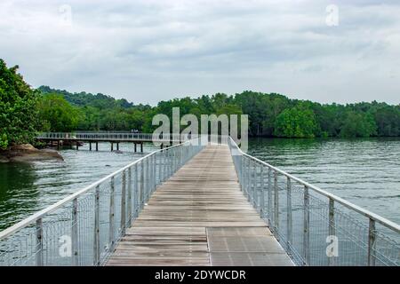 Die Promenade, Felsstrand und rote Mangroven in Chek Jawa Feuchtgebiet. Es ist ein Kap und der Name seiner 100 Hektar großen Feuchtgebiete auf der Süd-östlichen Stockfoto