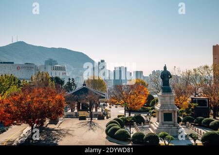 Busan, Korea - 11. November 2020 : Panorama-Blick auf den Yongdusan Park im Herbst Stockfoto