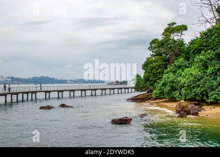 Die Promenade, Felsstrand und rote Mangroven in Chek Jawa Feuchtgebiet. Es ist ein Kap und der Name seiner 100 Hektar großen Feuchtgebiete auf der Süd-östlichen Stockfoto