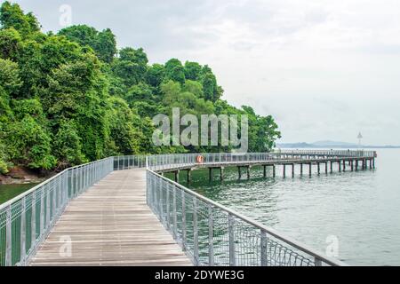 Die Promenade, Felsstrand und rote Mangroven in Chek Jawa Feuchtgebiet. Es ist ein Kap und der Name seiner 100 Hektar großen Feuchtgebiete auf der Süd-östlichen Stockfoto