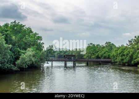 Die alte Brücke und Blick auf den Fluss im Sungei Buloh Wetland Reserve Singapur, ein wichtiger Zwischenstopp für Zugvögel. Stockfoto
