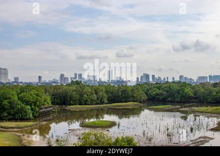 Mangrovenwald und Teich im Sungei Buloh Wetland Reserve Singapur, der Hintergrund sind die Gebäude von JOHOR BAHRU Malaysia. Stockfoto