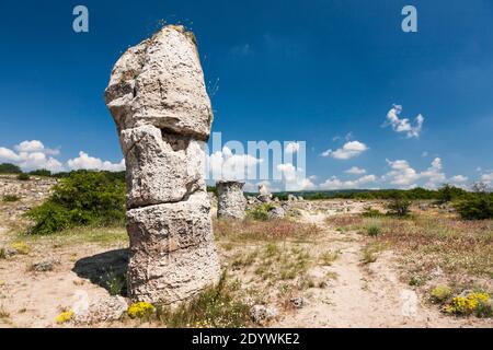 Der Steinwald, Pobiti Kamani, Dikilitash, Natursteinformationen, Varna Provinz, Bulgarien, Südosteuropa, Europa Stockfoto