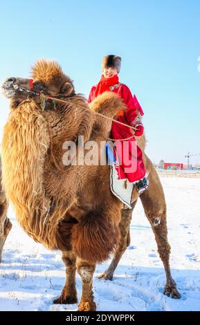 Hulun Buir, China. Dezember 2020. Der Kamel-Schönheitswettbewerb findet am 27. Dezember 2020 auf dem Ewenki-Grasland in Hulun Buir, Innere Mongolei, China statt.(Foto: TPG/cnsphotos) Quelle: TopFoto/Alamy Live News Stockfoto