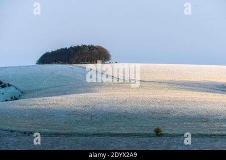 Shaftesbury, Dorset, Großbritannien. Dezember. Wetter in Großbritannien. Eine leichte Schneedecke bedeckt Compton Down in der Nähe von Shaftesbury in Dorset nach einer frühen morgendlichen winterlichen Dusche. Bild: Graham Hunt/Alamy Live News Stockfoto