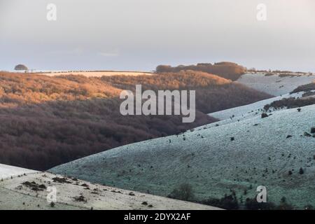 Shaftesbury, Dorset, Großbritannien. Dezember. Wetter in Großbritannien. Eine leichte Schneedecke bedeckt Compton Down in der Nähe von Shaftesbury in Dorset nach einer frühen morgendlichen winterlichen Dusche. Bild: Graham Hunt/Alamy Live News Stockfoto