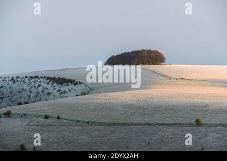 Shaftesbury, Dorset, Großbritannien. Dezember. Wetter in Großbritannien. Eine leichte Schneedecke bedeckt Compton Down in der Nähe von Shaftesbury in Dorset nach einer frühen morgendlichen winterlichen Dusche. Bild: Graham Hunt/Alamy Live News Stockfoto