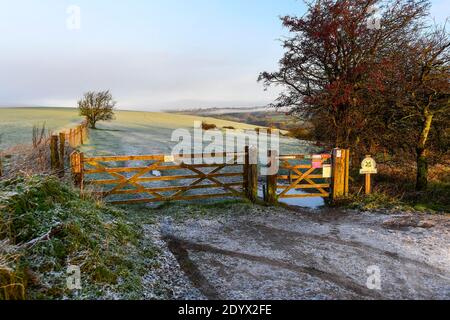 Shaftesbury, Dorset, Großbritannien. Dezember. Wetter in Großbritannien. Eine leichte Schneedecke bedeckt Melbury Hill in der Nähe von Shaftesbury in Dorset nach einem frühen Morgen winterlichen Dusche. Bild: Graham Hunt/Alamy Live News Stockfoto