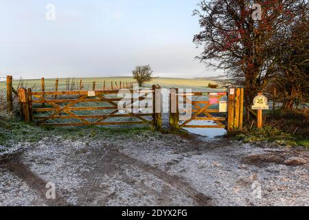 Shaftesbury, Dorset, Großbritannien. Dezember. Wetter in Großbritannien. Eine leichte Schneedecke bedeckt Melbury Hill in der Nähe von Shaftesbury in Dorset nach einem frühen Morgen winterlichen Dusche. Bild: Graham Hunt/Alamy Live News Stockfoto