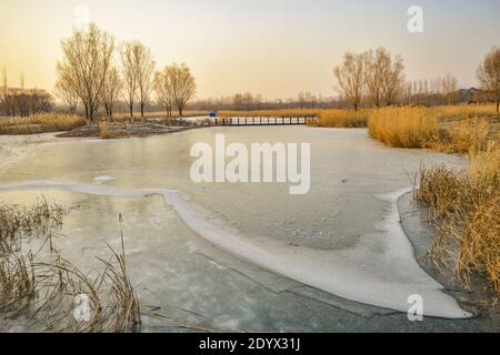 Changping, Changping, China. Dezember 2020. Peking, CHINA-Schilf werden auf dem See geerntet, um Brände im zukünftigen Science City Waterfront Park im Changping District zu verhindern, 26. Dezember 2020.um ein Feuer im Winter zu verhindern, wird das große Schilf, das im See im Park wächst, zu einer Brandgefahr. Es sollten wirksame Maßnahmen ergriffen werden. Gleichzeitig sollte Personal entsandt werden, um die Patrouille in diesem Bereich zu verstärken. Quelle: SIPA Asia/ZUMA Wire/Alamy Live News Stockfoto