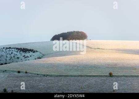 Shaftesbury, Dorset, Großbritannien. Dezember. Wetter in Großbritannien. Ein leichtes Staubwischen von Schnee bedeckt Compton Down in der Nähe von Shaftesbury in Dorset nach einer frühen morgendlichen winterlichen Dusche. Bild: Graham Hunt/Alamy Live News Stockfoto