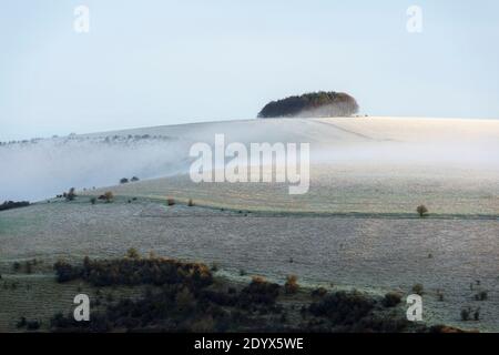 Shaftesbury, Dorset, Großbritannien. Dezember. Wetter in Großbritannien. Ein leichtes Staubwischen von Schnee auf den Feldern bei Compton Down in der Nähe von Shaftesbury in Dorset mit Nebel, der sich nach einer frühen morgendlichen winterlichen Dusche bildet. Bild: Graham Hunt/Alamy Live News Stockfoto