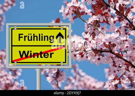 Straßenschild Ende des Winters ' Winter und Frühling', Übersetzung 'Winter und Frühling', vor Baumblüten und blauem Himmel Stockfoto