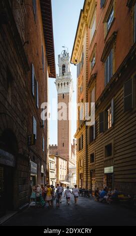 Blick von einer schattigen Gasse in der Altstadt von Siena auf den in der Sonne scheinenden Turm des Palazzo Publico auf der Piazza del Campo, Toskana, Italien Stockfoto