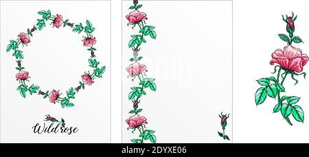 Eine Reihe von Postkarten mit Rosenblumen. Rosa Blüten. Rose. Stock Vektor