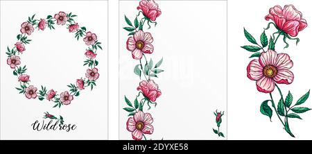 Eine Reihe von Postkarten mit Rosenblumen. Rosa Blüten. Rose. Stock Vektor