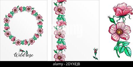 Eine Reihe von Postkarten mit Rosenblumen. Rosa Blüten. Rose. Stock Vektor