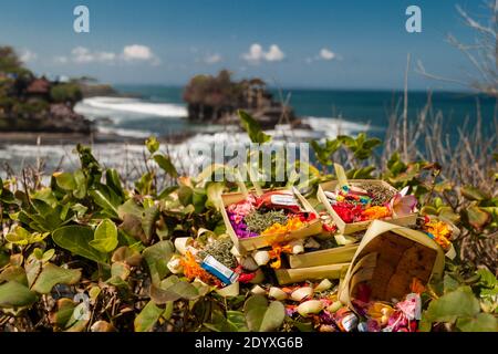 Hinduistische Puja-Opfergaben auf den Büschen und Tanah Lot platziert Tempel im Hintergrund Stockfoto