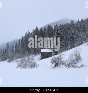 Winterliche Szene in der Nähe von Gstaad. Stockfoto