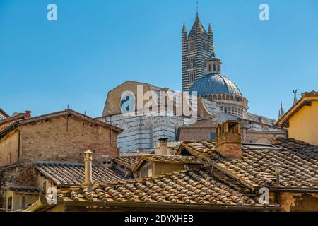 Blick auf die Skyline der Stadt, einschließlich Dom, Kathedrale, Siena, Toskana, Italien, Europa Stockfoto