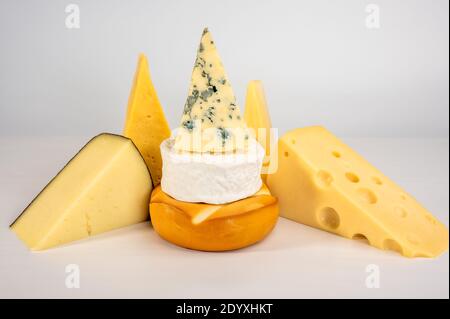 Verschiedene Arten von köstlichen Käse auf grauem Hintergrund. Blauschimmelkäse Dorblin, geräucherte Suluguni, Brie, Maasdam, Cheddar, Parmesan. Sortiment von verschiedenen Stockfoto
