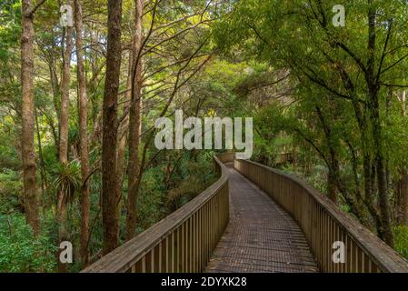 A. H. Reed Memorial Kauri Park in Whangarei, Neuseeland Stockfoto