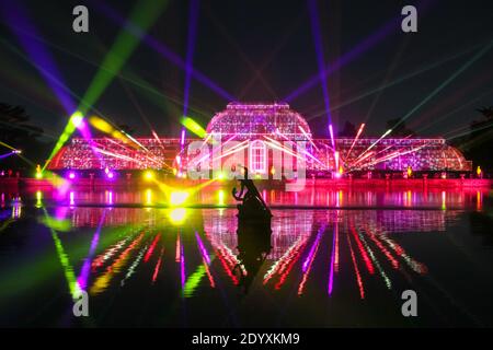„Christmas at Kew“ Winterlichter, das Palm House mit Laserstrahlen beleuchtet, Royal Botanical Gardens, London, England, Großbritannien Stockfoto