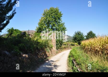 Teil des Jakobswegs nach Santiago de Compostela in Portugal. Stockfoto