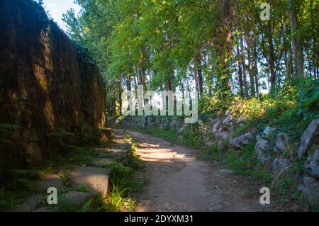 Teil des Jakobswegs nach Santiago de Compostela in Portugal. Stockfoto